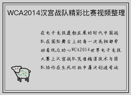 WCA2014汉宫战队精彩比赛视频整理