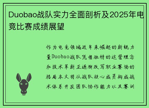 Duobao战队实力全面剖析及2025年电竞比赛成绩展望